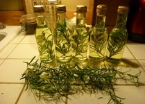 Acı Biberiye Yağı Kullanımı ve Faydaları Nelerdir? Acı Biberiye Yağı Kullanımı ve Faydaları Nelerdir?