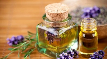 Biberiye Yağı Saç Kullanımı ve Faydaları Nelerdir? Biberiye Yağı Saç Kullanımı ve Faydaları Nelerdir?